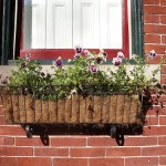 Random image: flowering basket_CS