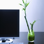 Home Organization: How to Organize your Electronic Clutter