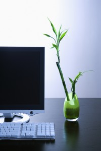 computer_monitor_bamboo computer_monitor_bamboo