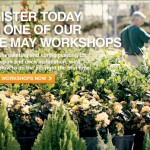 D.I.Y. Saturday #2 – Home Improvement Stores – Use them to help you!