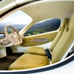 Are You Living in Your Home AND Your Car? Clean it Up!