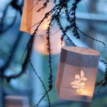 Random image: outdoor lighting_paper lantern_DS