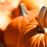Random image: orange decor_pumpkins
