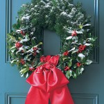 Random image: ms__xmas_silver fir