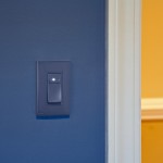 Random image: switch plate_blue