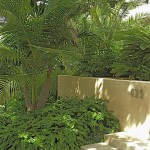 Random image: levinefront5-_greenery_small
