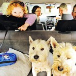 Guest Blogger: How to Enjoy Family Road Trips this Year