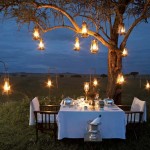 Random image: wedding outdoor_lighting