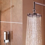 Guest Blogger: Running Out of Hot Water? An Electric Shower May be the Answer