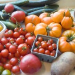 Guest Blogger: How to Grow Organic Vegetables this Summer