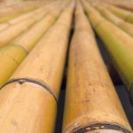 Random image: bamboo-flooring2