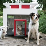 Guest Blogger: How to Choose the Best Spot for your Dog House