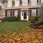Guest Blogger: Preparing your Autumn Lawn for a Pest-Free Winter