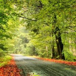 Guest Blogger: How to Make Road Trips with Kids Enjoyable for All