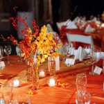 Guest Blogger: How to Expertly Plan and Organize a Large Autumn Party