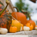 Random image: pumpkin3