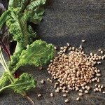 New Year’s Day Recipes to Bring you Good Luck throughout the Year!