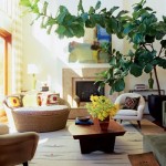Guest Blogger: How Indoor Plants Can Brighten your Interior Home & Office