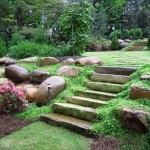 Guest Blogger: Simple Ideas for Going Green in Your Own Backyard