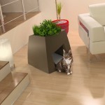 How to Ensure your Pet’s Have an Organized Home Too!