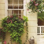 Decorating your Windows with Touches of Garden Inspiration