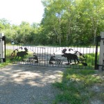 Guest Blogger: Beautifying your Home with Additon of Ornamental Iron
