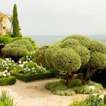 Guest Blogger: Eye-Catching Landscape Ideas for Year Around Curb Appeal