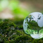 Earth Day 2010 – How can you make a difference?
