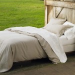 Green Alternatives for Ridding your Home of Bed Bugs