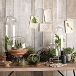 Guest Blogger: Simple Green Living Tips to Start at Home Today