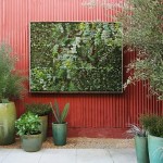 How to Beautify your Small Patio with a Vertical Garden