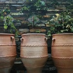 Guest Blogger: Enhancing your Backyard with Beautiful Water Features