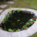 Guest Blogger – 5 Ways to Make your Garden Child-Friendly