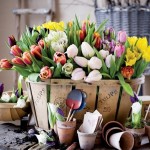 How to Maintain your Garden with Green Budget Friendly Tips