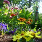 How to Select the Right Flowers for your Garden this Summer
