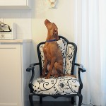 Tips for Ensuring your Pets are Safe at Home