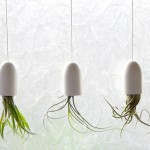 DIY Saturday #116 – How to Create Hanging Bathroom Air Plant Containers