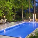 Guest Blogger: Keeping Unwanted Pests Out of Your Backyard Pool