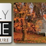 Stagetecture Radio Debuts Today! Autumn, Laundry & Halloween Lighting