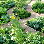 Guest Blogger: 7 Easy & Green Home Improvements