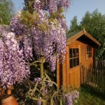 Guest Blogger: Easy DIY Tips to Build your Own Garden Shed