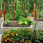 Guest Blogger: How to Design a Beautiful Vegetable Garden