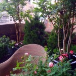DIY Saturday #134 – How to Start a Balcony Garden This Winter (Video)