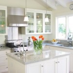 Guest Blogger: Saving Money on Pest Control this Spring