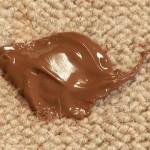 Easy Stain Removal Tips for Common Household Items