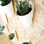 Decorating Ideas for DIY Recycled Planters