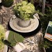 Celebrate Earth Day with an Eco-Friendly Dinner Party