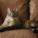 DIY Sat. #149 – Protect your Home with these DIY Cat Projects