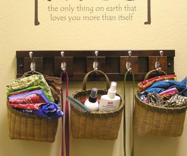 Organizing Your Pet’s Area For The Warmer Seasons