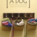 Organizing Your Pet’s Area For The Warmer Seasons